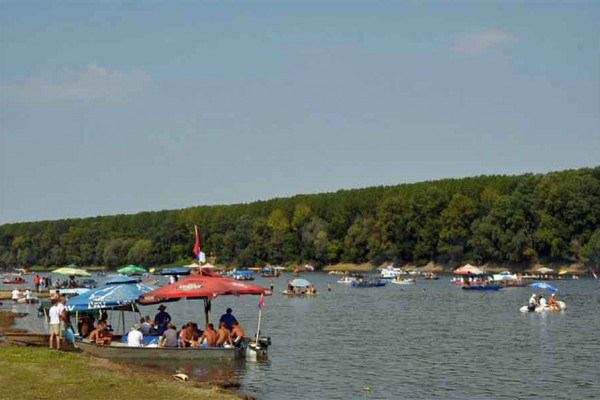 Danas "Savska regata"