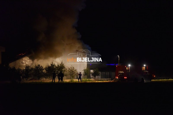 Veliki požar u Dvorovima, više vatrogasnih ekipa na terenu