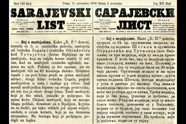 Da li ste vidjeli medvjeda u Bijeljini?