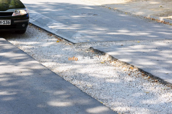 Zbog nemara nadležnih Ulica Srpske dobrovoljačke garde u katastrofalnom stanju /FOTO/