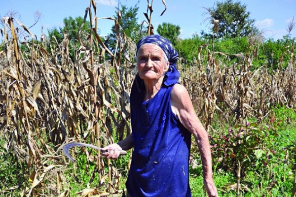 Starica koju ne gaze godine - Baka Cvijeta od 86 ljeta