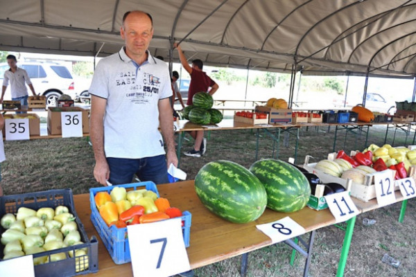 Sajam okupio najbolje majstore povrtarstva