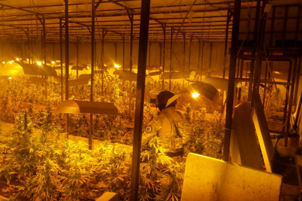 Bijeljina: Nastavak međunarodne policijske akcije, pronađena marihuana, oružje