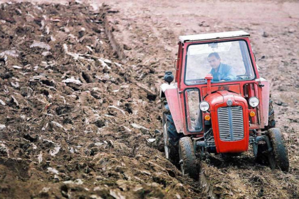 Brazde vape za kišom