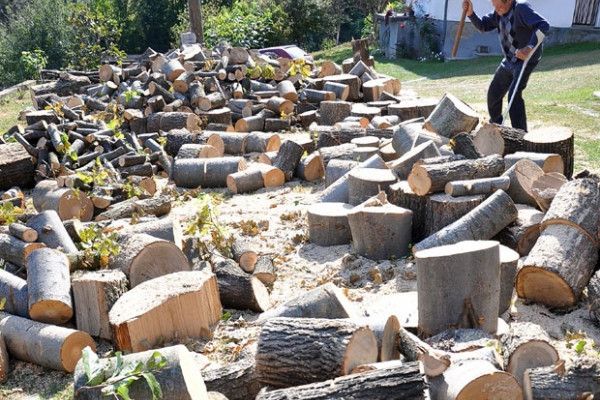 Majevica: Za kubik drveta 85 maraka