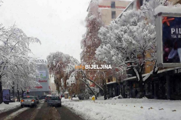 Radnici Komunalca uklonili drvo koje je bilo prijetnja za vozače i pješake /FOTO/