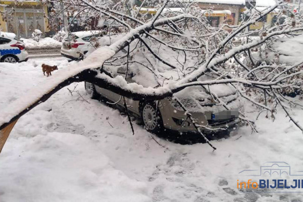 Drvo palo na parkirana vozila u centru Bijeljine