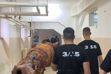 Donijeli pečeno prase u školu "da poprave ocjene" (VIDEO)