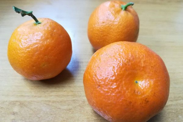 Zašto su dobre klementine?