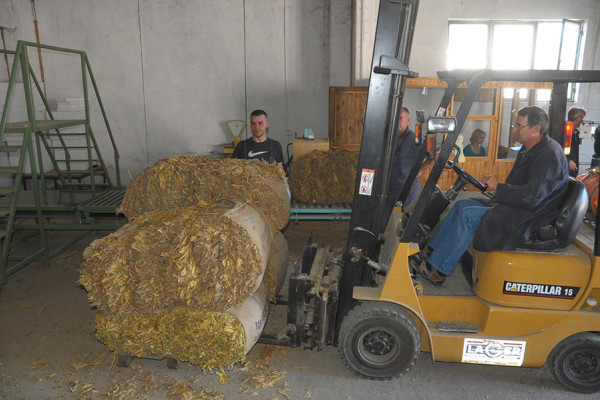 Proizvodnja duvana u Bijeljini 2018. godine povećana za 72 odsto