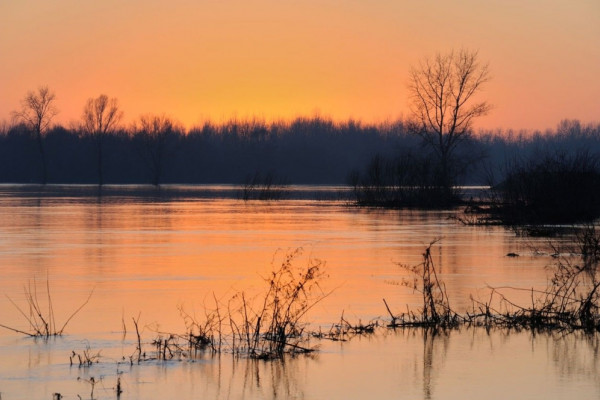 Semberija:  Nema opasnosti od izlivanja Drine i Save