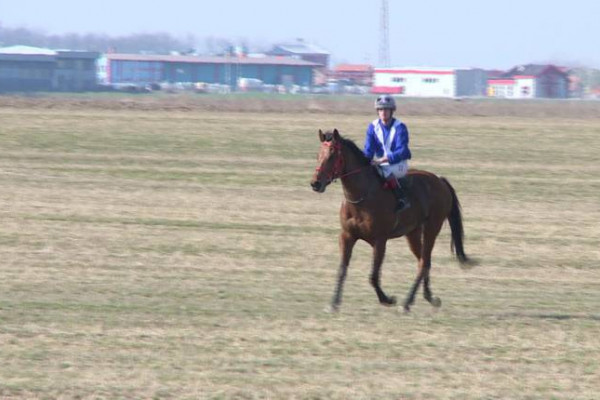 Konji opet jure Semberijom