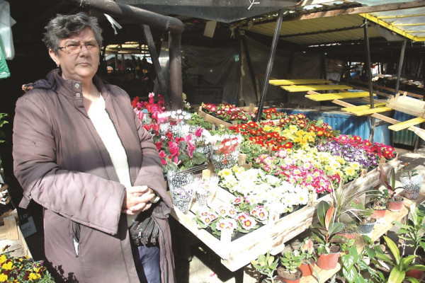 Slobodanka i Novak Ostojić, uzgajivači cvijeća iz Patkovače