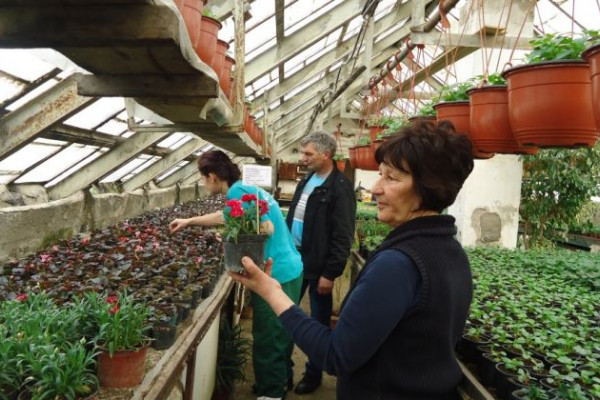 Rasadnik preduzeća "Komunalac": Bogata ponuda sadnica i sezonskog cvijeća