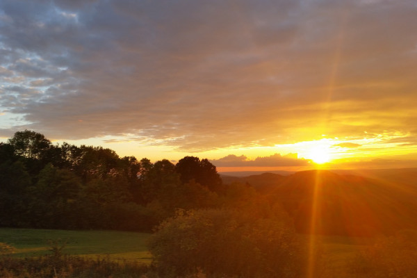 Danas sunčano i toplije