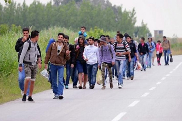 Ombudsman upozorava: Dramatički porast migranata u BiH