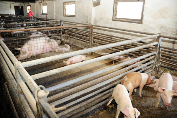 Semberski poljoprivrednici odustaju od EU sredstava