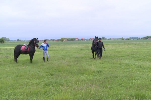 Konjičke trke na poljima Semberije