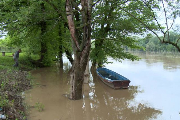 Vodostaj Save i Drine u blagom porastu