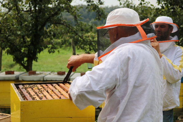 Kiše prepolovile prinos meda u Semberiji