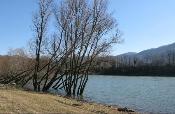 Povukle se bujične vode - Vodostaj Drine u stagnaciji, Save u porastu