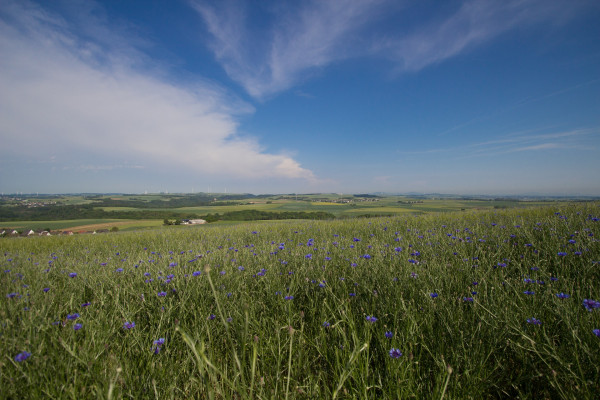 Sutra veoma toplo i sparno, do 30 stepeni