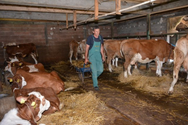 Mićić : Stočarima jednostavnije procedure za građevinske dozvole