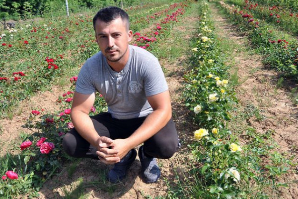 Cvjetko Josipović, uzgajivač ruža iz Peljava