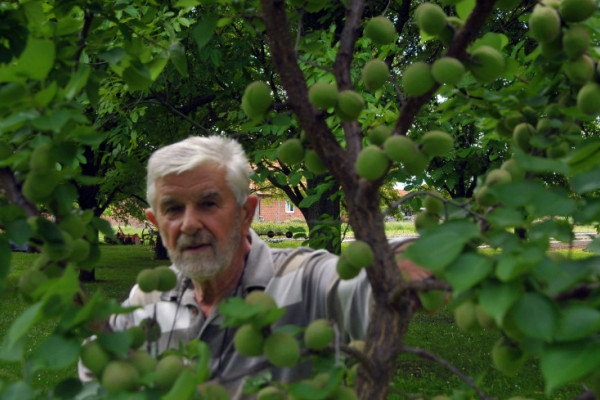 Penzionisani profesor Petar Lazić iz Trnjaka dokazao se kao uspješan voćar
