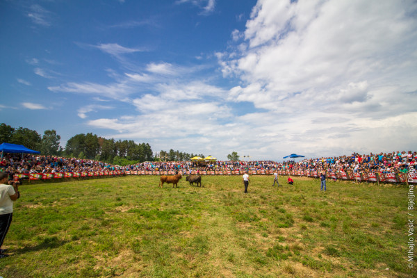 Održana korida u Bijeljini