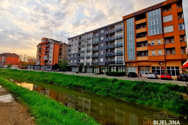 Bijeljina: Stari hrast koji je nekada krasio dio grada