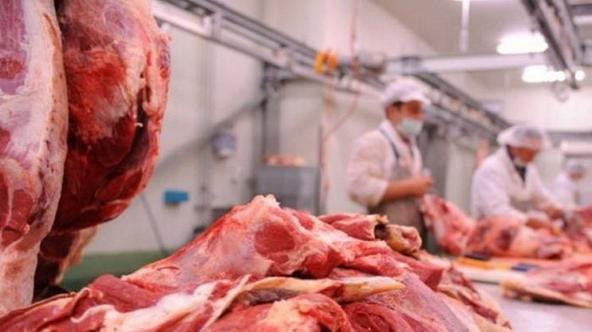 Pojačana kontrola hrane zbog visokih temperatura