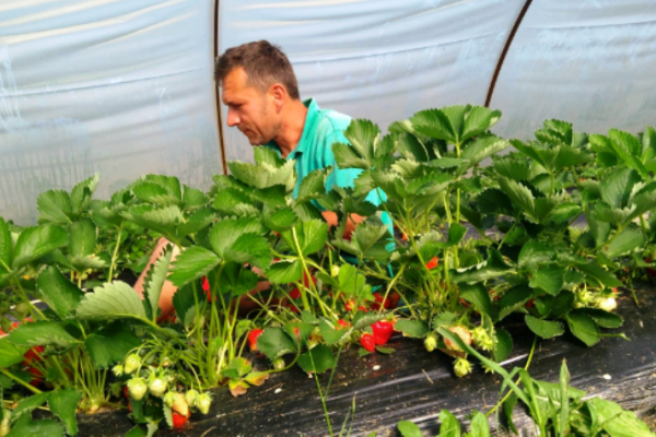 Neobična prodavnica organske hrane u Bijeljini – kupci beru šta žele kupiti