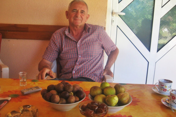 Na imanju Đoke Jovića u Donjoj Trnovi: Sočne smokve ispod Majevice