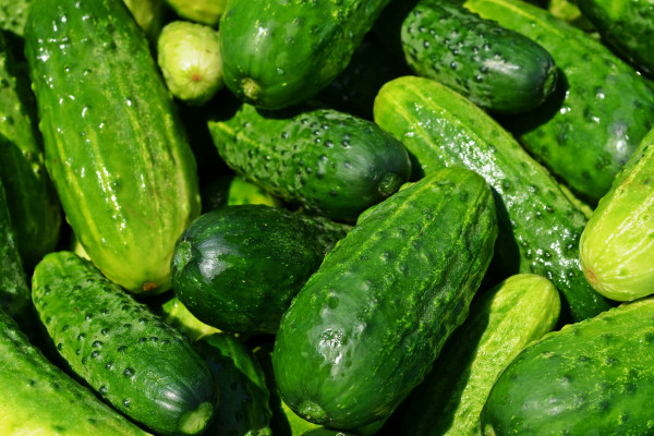 Zabranjen uvoz više od 20.000 kg krastavaca