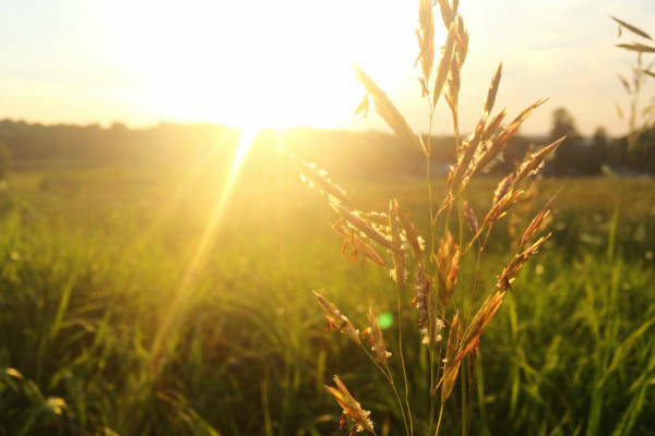 Danas sunčano i veoma toplo