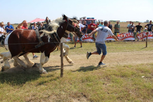 Odžana deveta ,,Štraparijada"