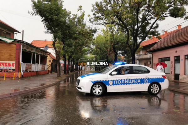 Olujno nevrijeme u Bijeljini, na automobil palo drvo /FOTO/