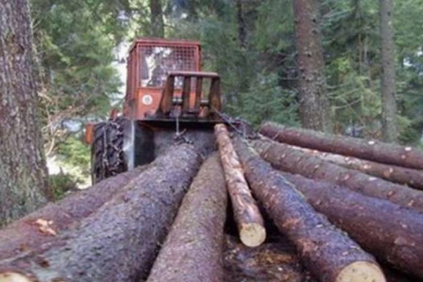 Bahati direktori lete iz “Šuma”