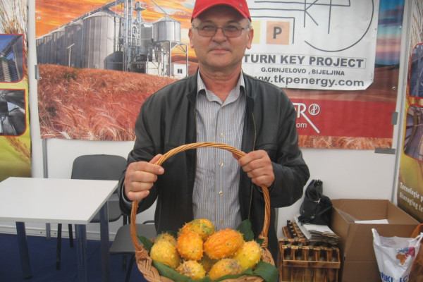 Kivano uspijeva i u Semberiji - vitaminska bomba iz Popova