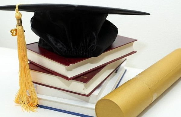 Rajčeviće: Protiv lažnih diploma boriti se u okviru zakona i institucija