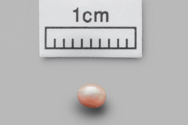 Pronađen najstariji biser na svijetu