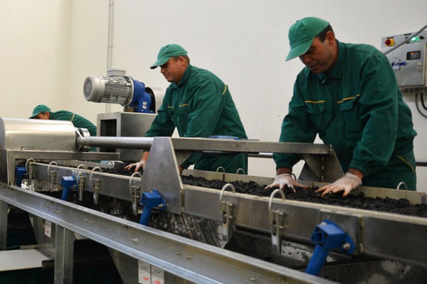 Broj firmi opada, zaposlenih raste?