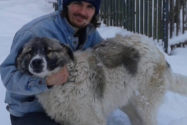 Nije želio biti rob sistema, pa se vratio djedovini da uzgaja organsko povrće i čuva koze