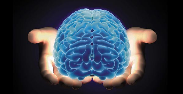 Mršaviji, visoki i "glavati" ljudi su inteligentniji