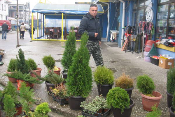 Rajo Kojić Rambo, penzionisani policajac - stručnjak za hortikulturu