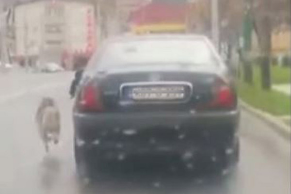 Psa vezanog za vozilo vukao po putu