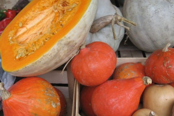 U Semberiji alternativna ishrana sve zastupljenija