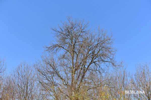 Jutro oblačno sa padavinama, poslije podne razvedravanje