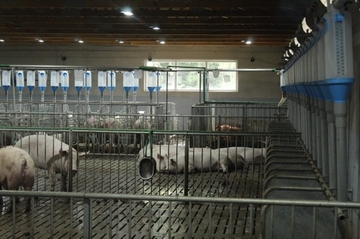 Propala firma iz Srpca prodaje imovinu za milion KM – nekad je vrijedila 4,5 miliona